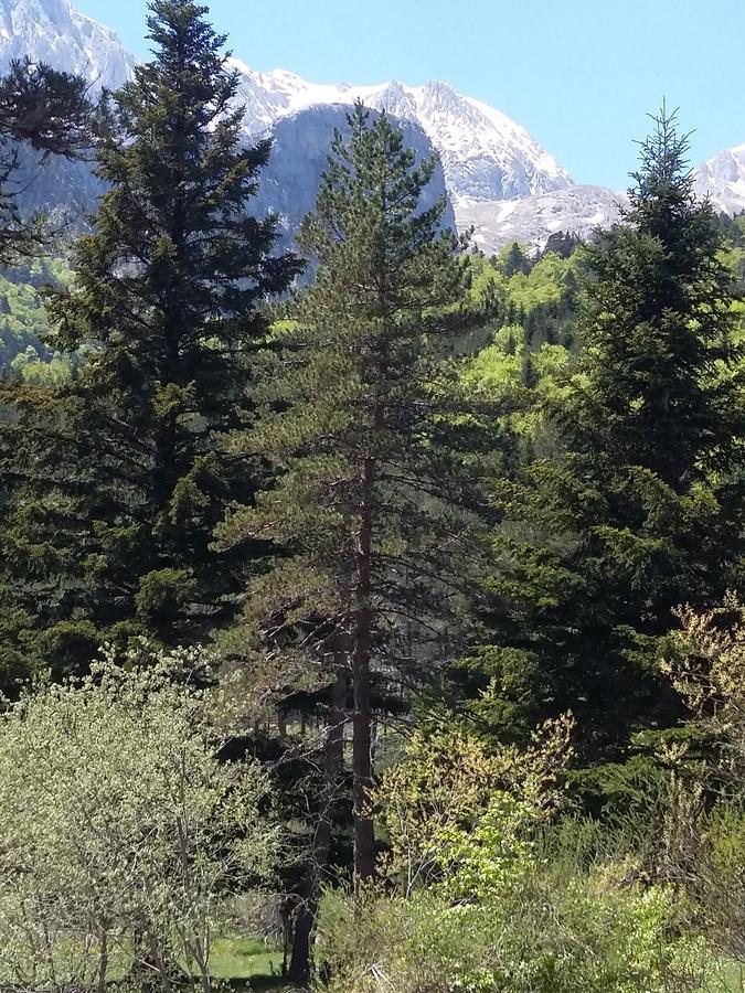 Hospederia Prepirineo Hotell Undués-Pintano Eksteriør bilde