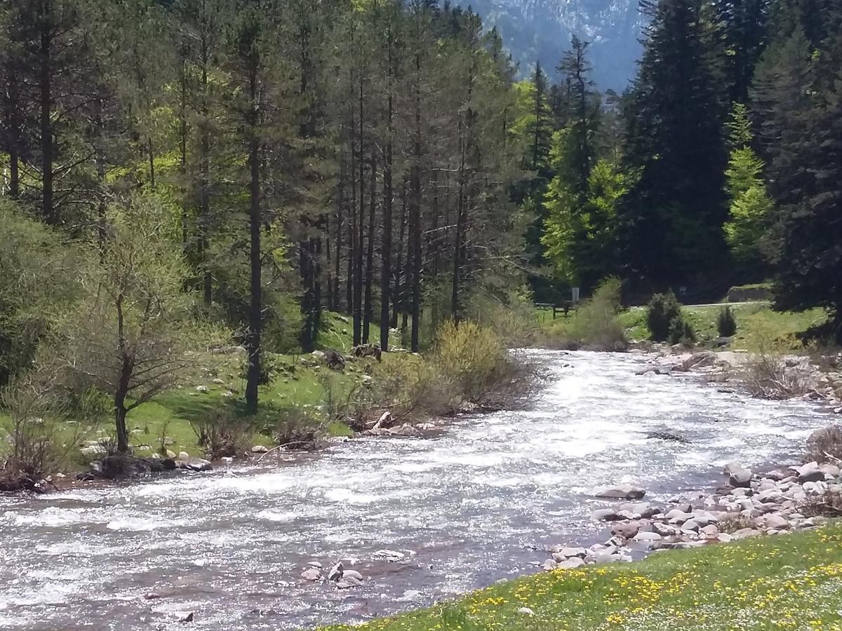 Hospederia Prepirineo Hotell Undués-Pintano Eksteriør bilde